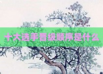 十大选手晋级顺序是什么