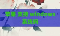 苹果 支持 windows系统吗