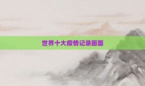 世界十大疫情记录画面