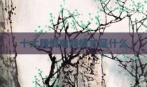 十大跨境电商模式是什么