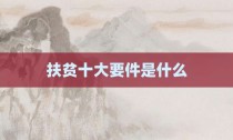 扶贫十大要件是什么