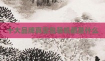 十大品牌真空包装机都是什么