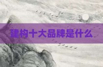 建构十大品牌是什么