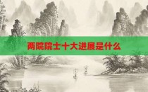 两院院士十大进展是什么