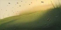 梦见很多苍蝇是什么意思