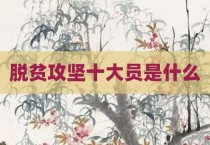 脱贫攻坚十大员是什么