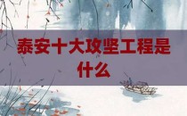 泰安十大攻坚工程是什么