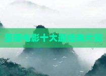豆瓣电影十大最经典片段