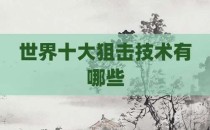 世界十大狙击技术有哪些