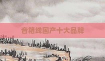 音箱线国产十大品牌