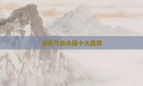 液化气热水器十大品牌