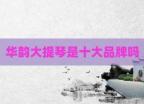 华韵大提琴是十大品牌吗