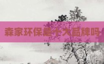 森家环保是十大品牌吗