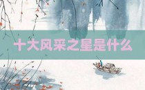 十大风采之星是什么