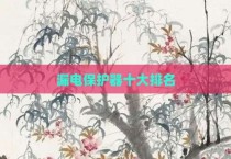 漏电保护器十大排名