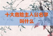 十大危险主人公名字叫什么