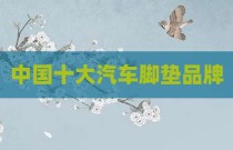 中国十大汽车脚垫品牌
