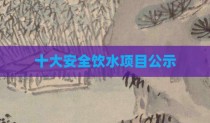 十大安全饮水项目公示