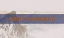 场景的十大功能包括什么