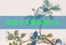 华夏十大事件是什么