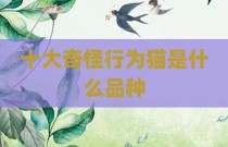 十大奇怪行为猫是什么品种