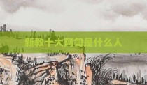 新教十大阿訇是什么人
