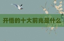 开悟的十大前兆是什么