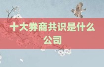 十大券商共识是什么公司