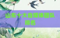 山东十大自媒体团队排名
