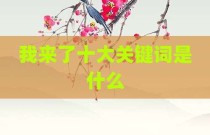 我来了十大关键词是什么