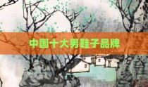 中国十大男鞋子品牌