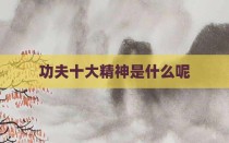 功夫十大精神是什么呢
