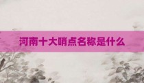 河南十大哨点名称是什么
