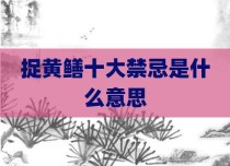 捉黄鳝十大禁忌是什么意思