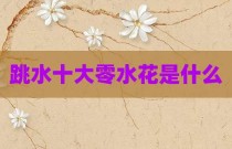 跳水十大零水花是什么