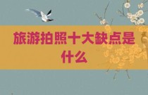 旅游拍照十大缺点是什么
