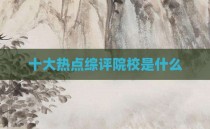 十大热点综评院校是什么
