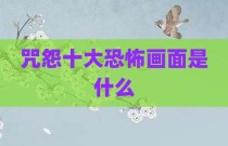 咒怨十大恐怖画面是什么