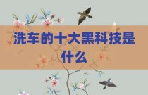 洗车的十大黑科技是什么