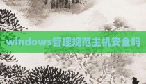 windows管理规范主机安全吗