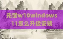 先锋w10windows11怎么升级安装