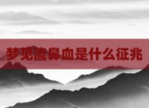 梦见流鼻血是什么征兆