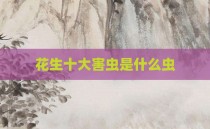 花生十大害虫是什么虫