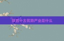 陕西十大优势产业是什么