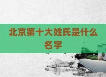 北京第十大姓氏是什么名字