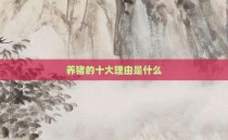 养猪的十大理由是什么
