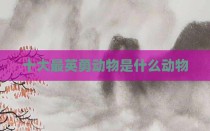 十大最英勇动物是什么动物