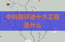 中科院评选十大工程是什么