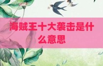 海贼王十大袭击是什么意思