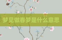 梦见做春梦是什么意思